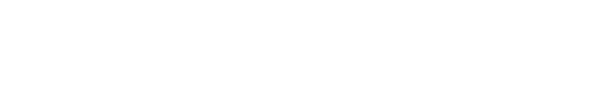 Logo de STANNUM